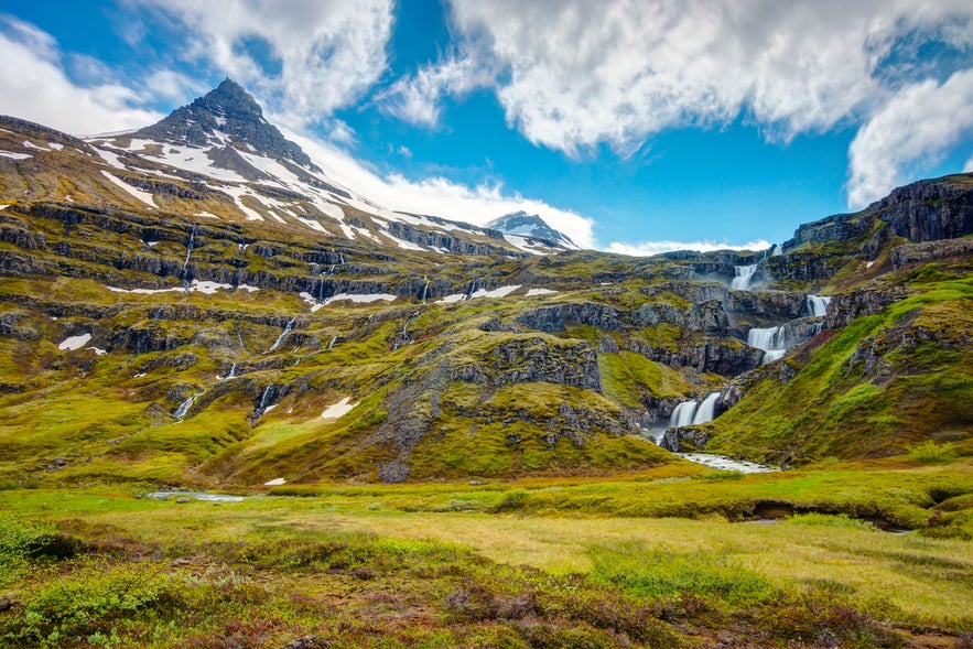 Mjoifjordur fjord with cascading waterfalls, rocky slopes, green grass, and a partly cloudy blue sky.