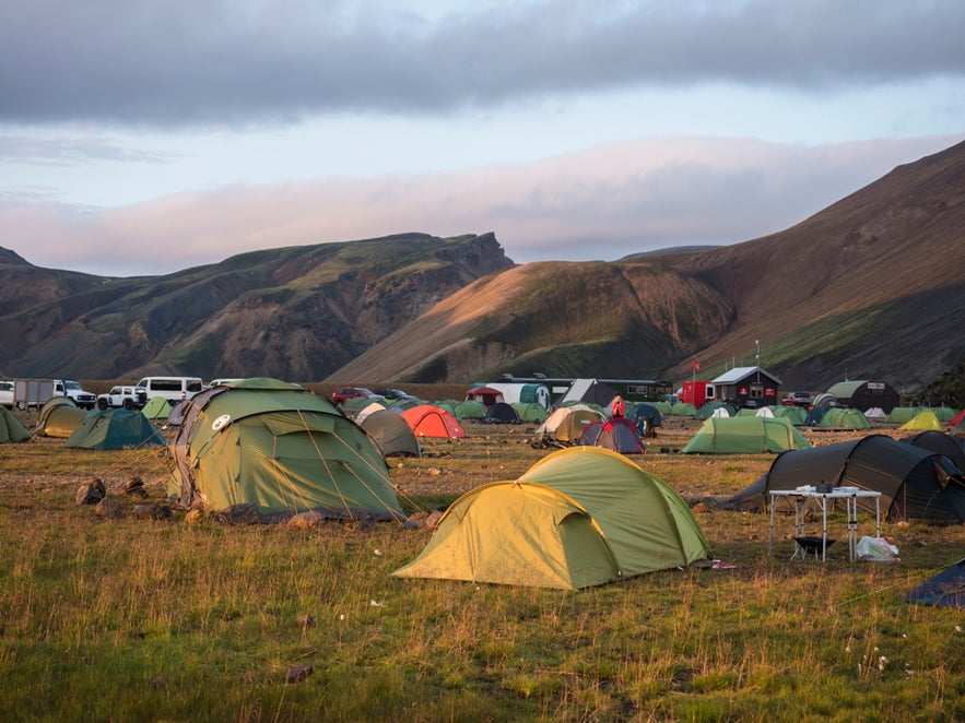 Tents set up on grassy plains at a campsite in Landmannalaugar, Iceland, with colorful mountains in the background.