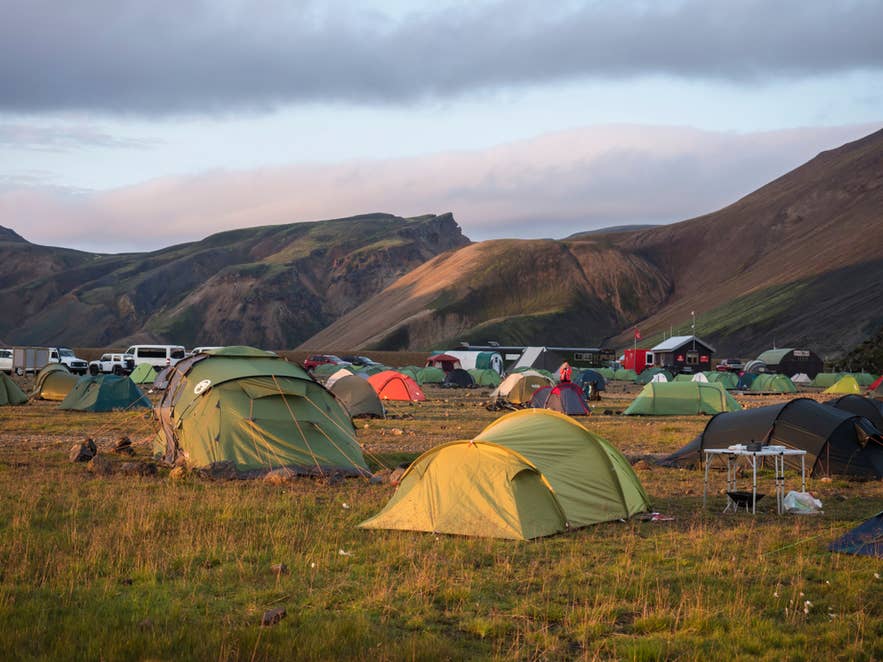 Tält uppsatta på gräsbevuxna slätter vid en campingplats i Landmannalaugar, Island, med färgglada berg i bakgrunden.