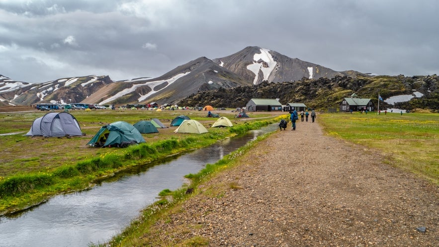 Tents set up at a campsite in Landmannalaugar along the Laugavegur trail, with scenic mountains and a stream nearby.