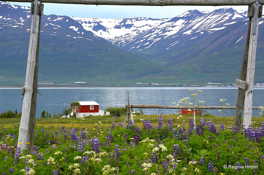 Eyjafjörður Fjord in North-Iceland - part I - Hrísey Island - the Pearl of Eyjafjörður