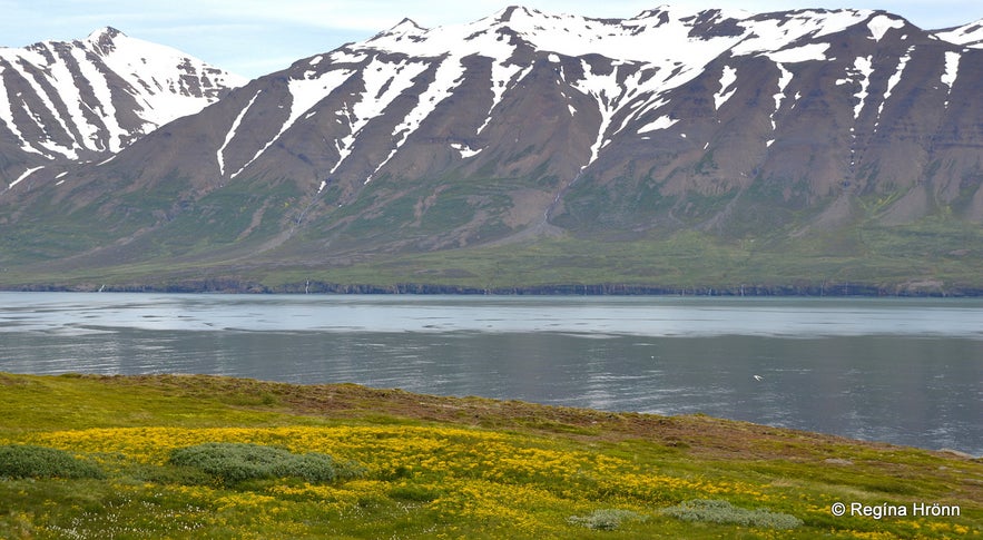 Eyjafjörður Fjord in North-Iceland - part I - Hrísey Island - the Pearl of Eyjafjörður