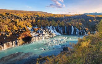 De Hraunfossar-waterval stroomt door lavavelden, omringd door herfstplanten.