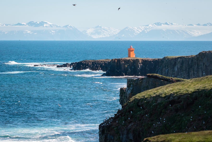Orange lighthouse on Grimsey Island cliffs, North Iceland, with sea, snowy mountains, and seabirds around.