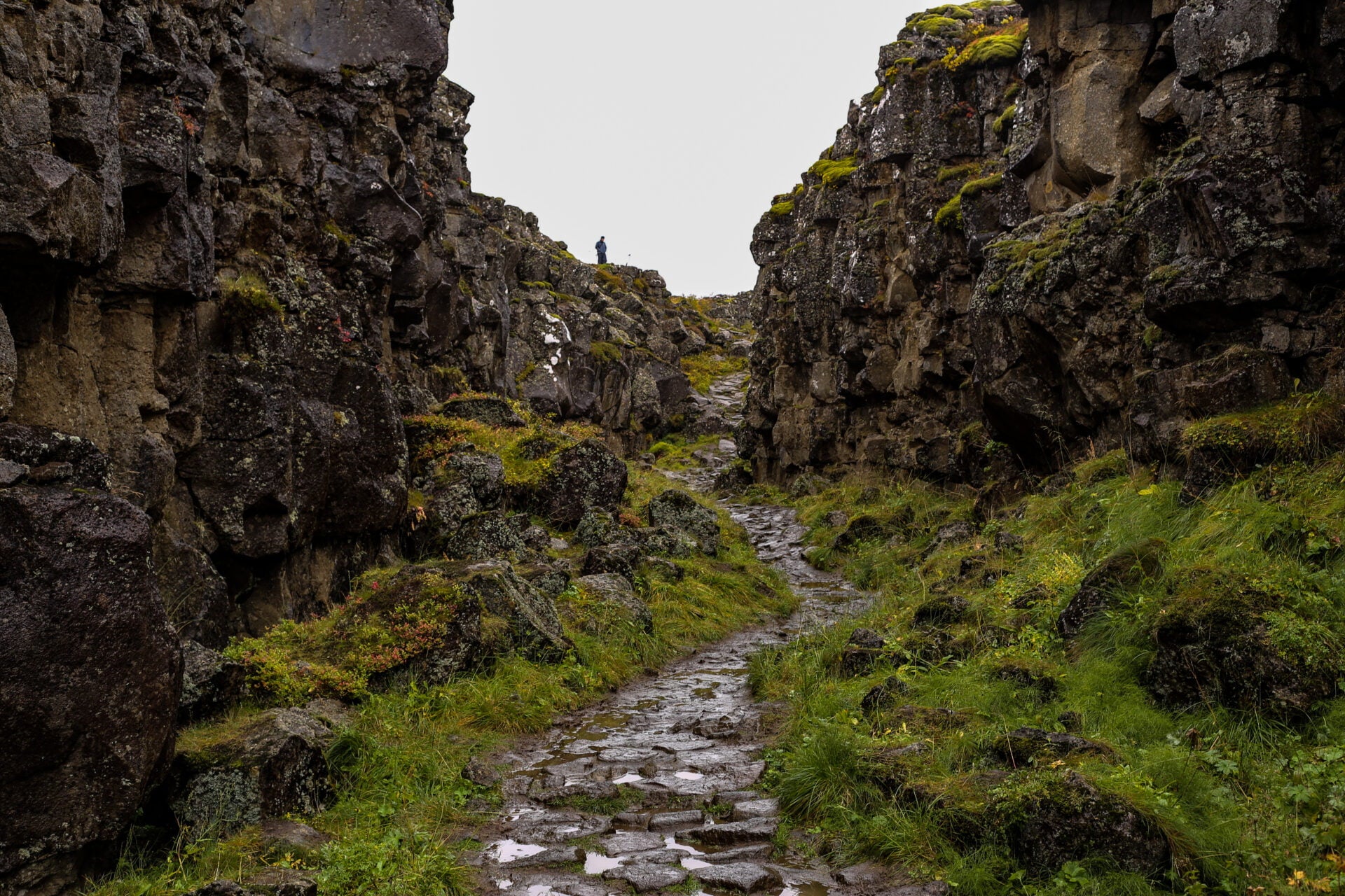 Amazing 8-Hour Private Tour of the Golden Circle with Kerid Crater from Reykjavik