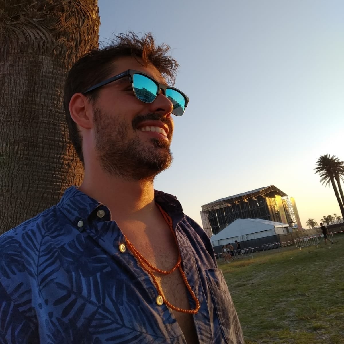 Alvaro Robles Narbona