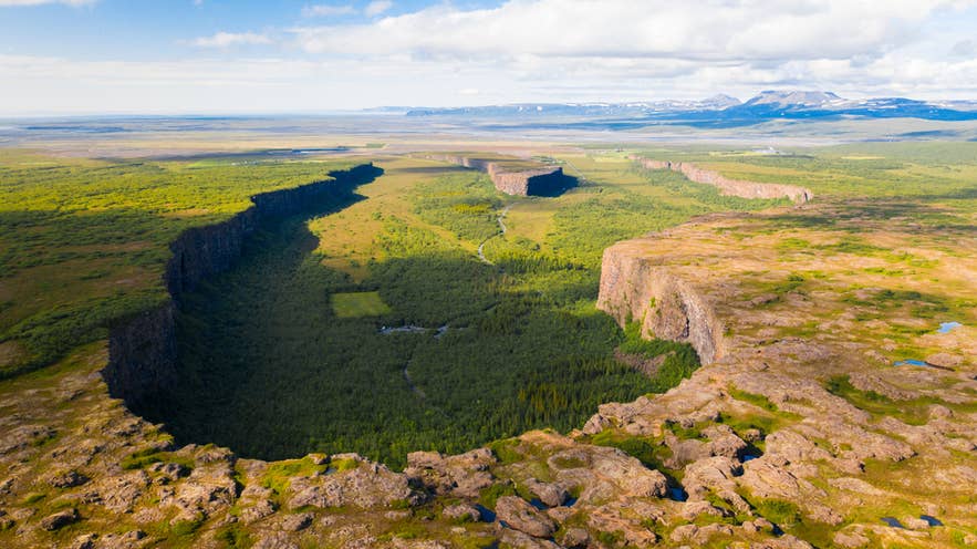 Aerial view of Asbyrgi Canyon showcasing one of the largest natural forests in Iceland.