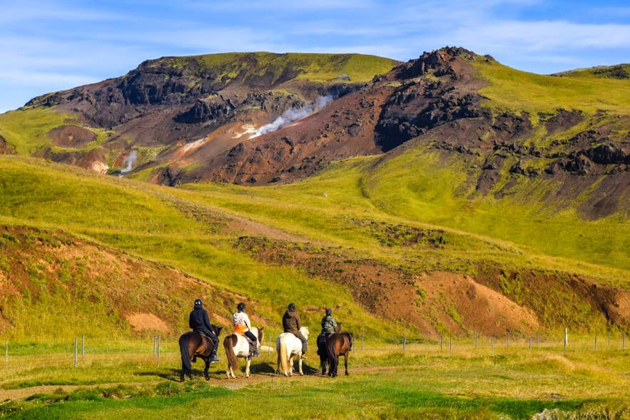 Riders on Icelandic horses explore green volcanic hills in Iceland in June under clear summer skies.