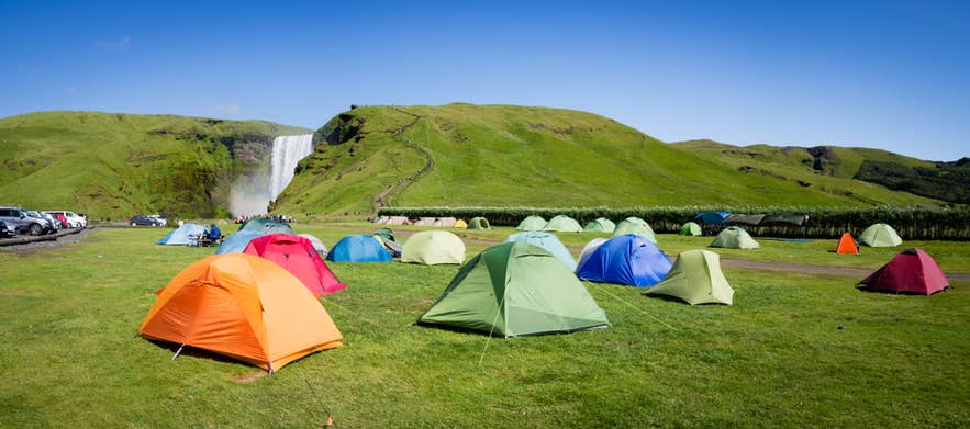 Camping på Island med färgglada tält nära Skogafoss vattenfall, omgiven av frodiga gröna kullar i södra Island.