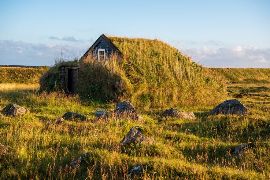 Stekkjarkot Turf House in Iceland, covered with thick grass and set in a sunlit field with scattered rocks.