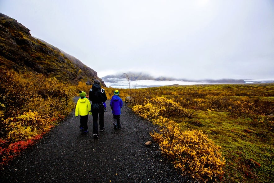 Family dressed in rain jackets and hiking boots walks through Iceland’s fall foliage, showing what to wear in Iceland in autumn.