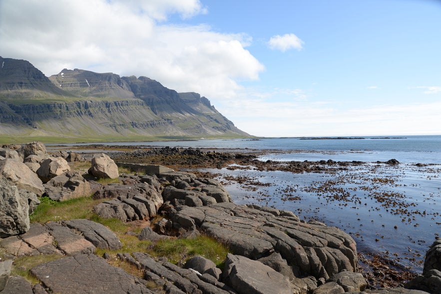 Rocky coast at Breiddalsvik, East Iceland, with seaweed-covered shoreline and dramatic mountains in the background.