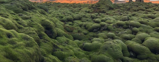 Reykjanes Tours