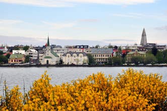 Private 4-Hour Sightseeing Tour of Reykjavik Attractions by Car