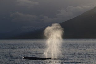 アイスランドの定番アクティビティ、氷河ハイキング