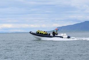 A RIB speed boat powers through the sea off the shore of Reykjavik.