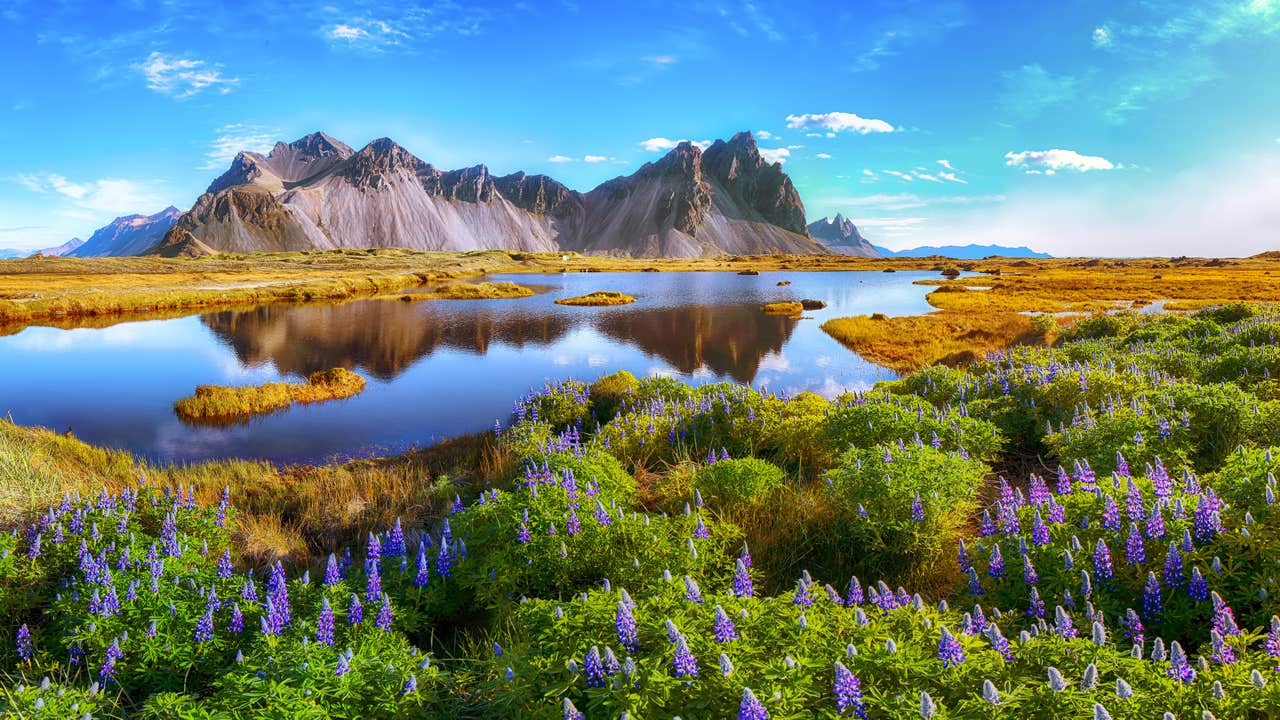 De Vestrahorn berg weerspiegelt in kalm water onder een heldere zomerlucht in Zuidoost-IJsland.