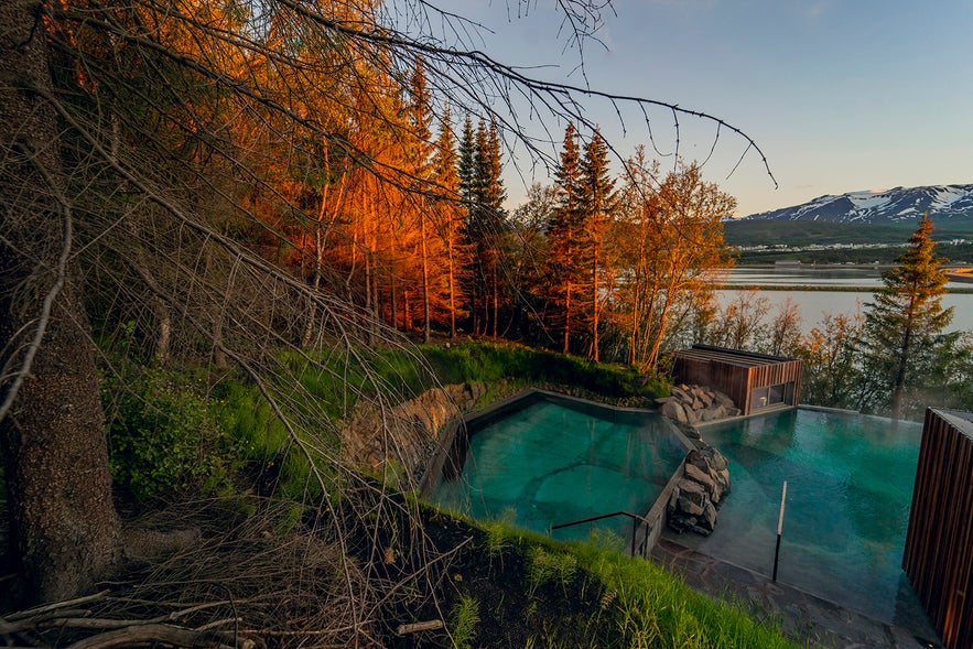 Forest Lagoon is nestled among the trees and has beautiful views of nearby fjord