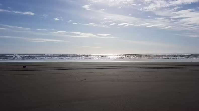 Exciting 4-Hour Express Tour of the Olfus Region from Selfoss