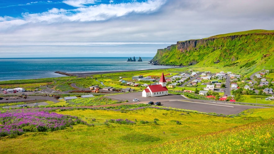 View of Vik Village in Iceland in July with Reynisdrangar Sea Stacks, green cliffs, and blooming summer wildflowers.