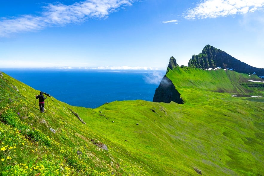 Hiking Hornstrandir Cliffs in the Westfjords, a top nature experience when exploring Iceland by cruise ship.