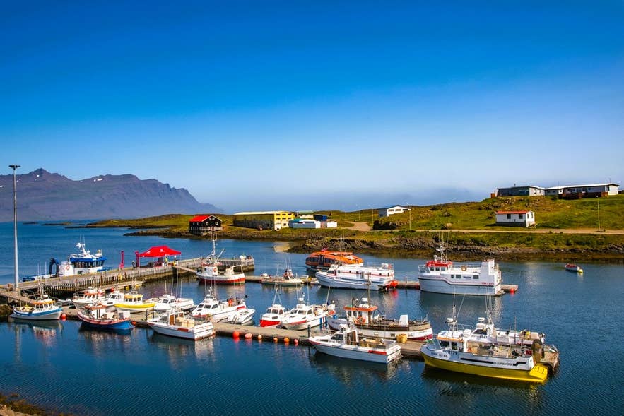 Fishing boats docked in Djupivogur Harbor on the East Coast, a scenic stop when exploring Iceland by cruise ship.