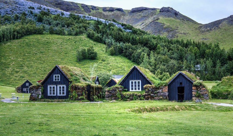 Traditional turf houses at Skogar with grass-covered roofs set against a lush green hillside and rocky mountain backdrop.
