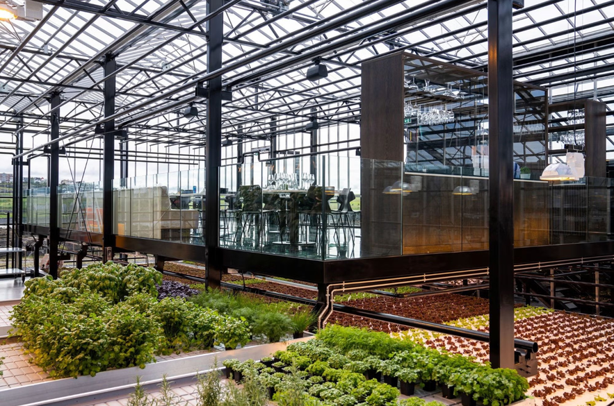 Modern greenhouse restaurant with glass walls, elevated dining area, and rows of fresh herbs and greens growing below.