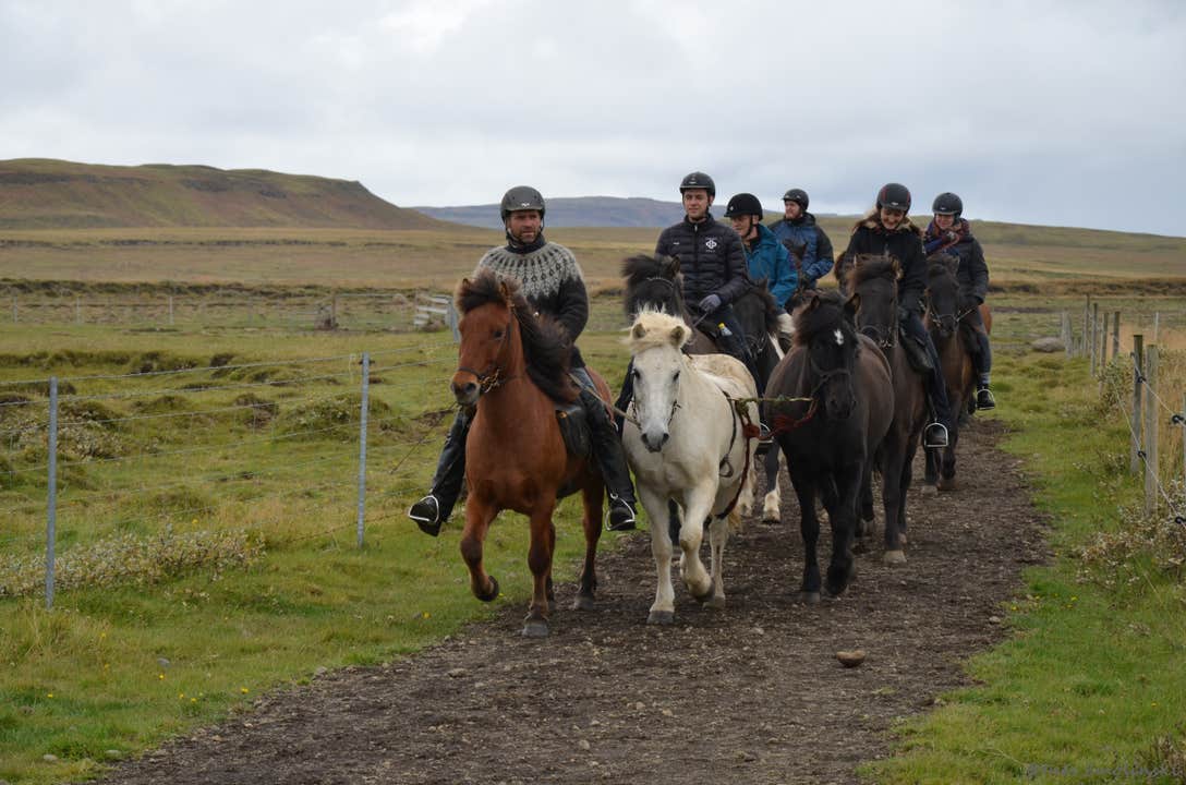 Golden Circle horseback riding tour with riders on Icelandic horses following a trail through open fields.