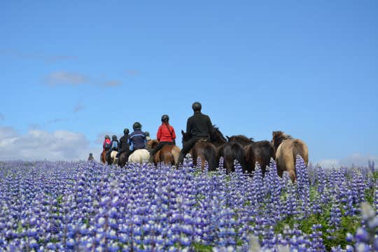 Golden Circle Horseback Riding Tour by the Geysir Geothermal Area