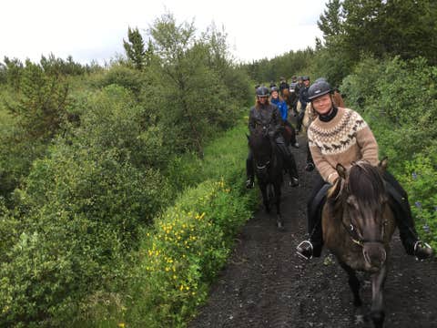 Golden Circle Horseback Riding Tour by the Geysir Geothermal Area