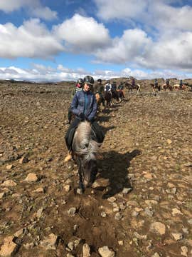 Golden Circle Horseback Riding Tour by the Geysir Geothermal Area