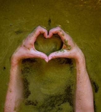 Relaxing Beer Bath Spa Experience at Blabjorg Resort in East Iceland