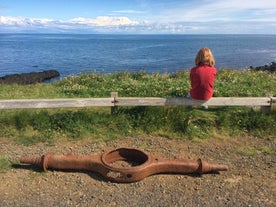 A beautiful view of Hellnar coast in Iceland during summer.