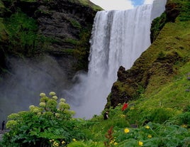 Feel the power of nature at Skogafoss, one of Iceland's most iconic waterfalls.