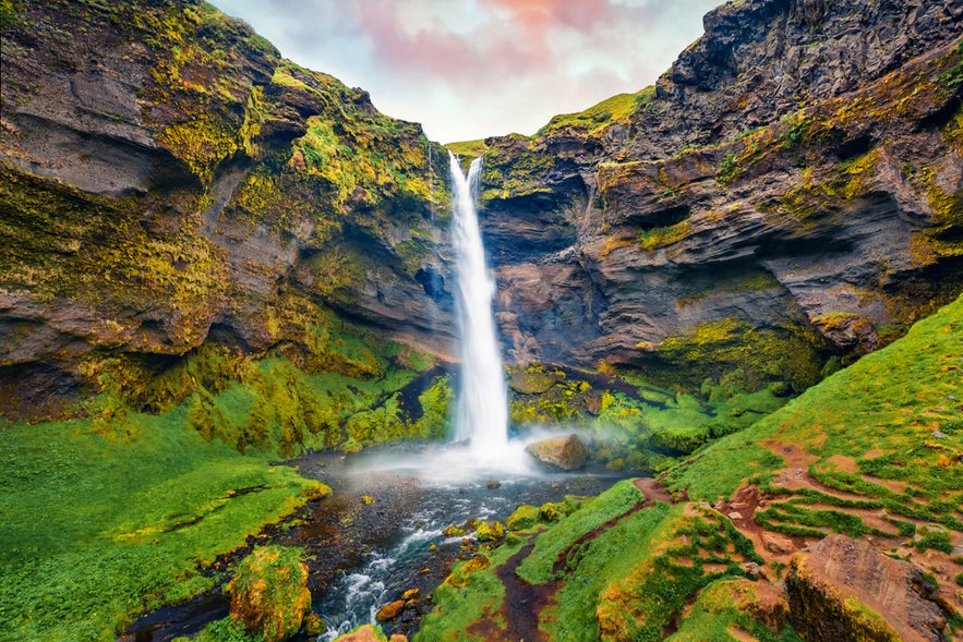 Kvernufoss Waterfall plunging into a mossy canyon surrounded by green cliffs and a winding trail under a pastel sky.