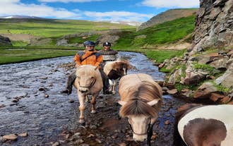Family enjoying an Icelandic horse ride near Husavik in the scenic Hraunkot horse farm.