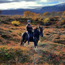 Family-Friendly Horse Riding Tour in Husavik
