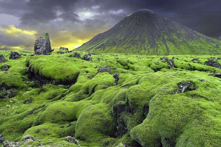 Nature's green carpet - a moss-covered field in Thorsmork Valley, Iceland.