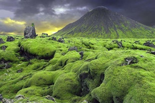 Nature's green carpet - a moss-covered field in Thorsmork Valley, Iceland.