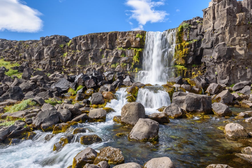Oxararfoss Waterfall in Thingvellir, part of Iceland’s Golden Circle, flows over basalt cliffs with mossy rocks below.