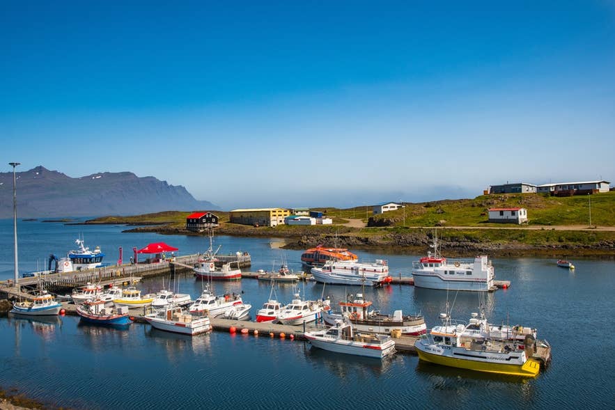 Colorful fishing boats docked in the harbor of Djupivogur, a coastal village in East Iceland’s Eastfjords region.