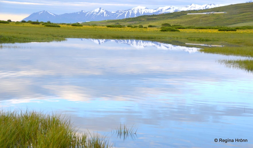 The beautiful Svarfaðardalur Nature Reserve and Húsabakki in North Iceland