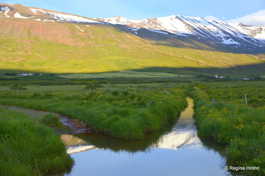 The beautiful Svarfaðardalur Nature Reserve and Húsabakki in North Iceland