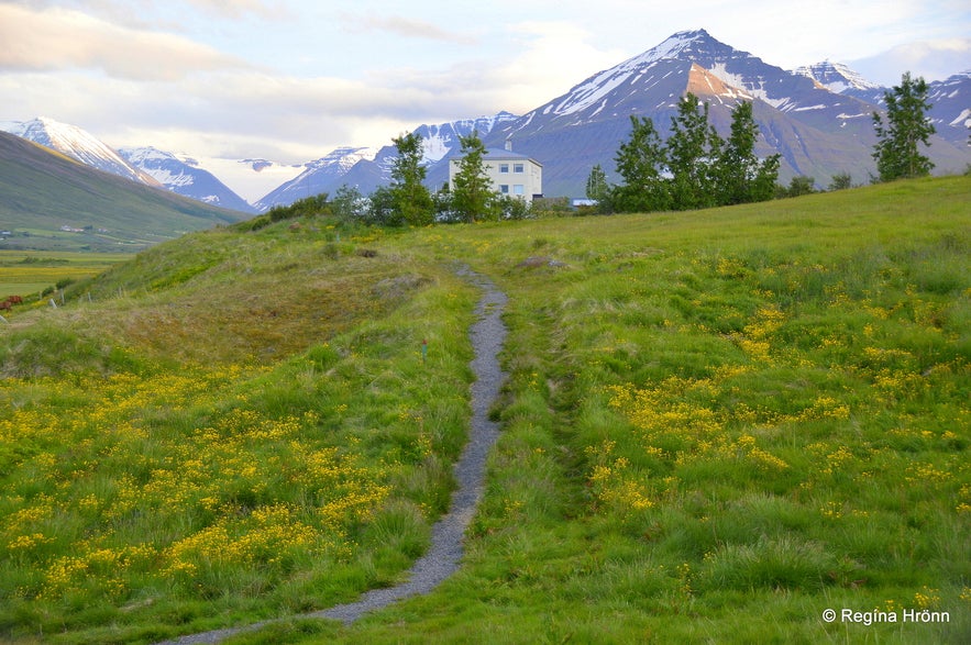 The beautiful Svarfaðardalur Nature Reserve and Húsabakki in North Iceland