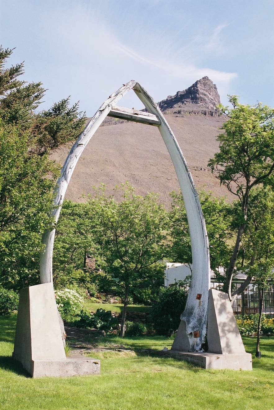 An image of the arched whale jaw bones in Skrudur Botanical Garden. An image of the arched whale jaw bones in Skrudur Botanical Garden.