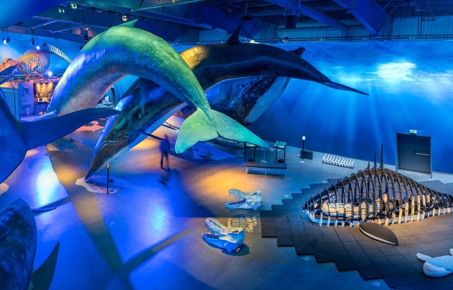 Haupthalle der Ausstellung "Whales of Iceland