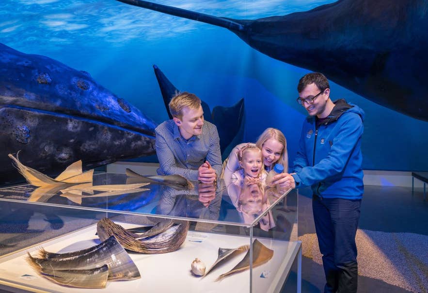 Whales of Iceland展示のガイドツアーの様子