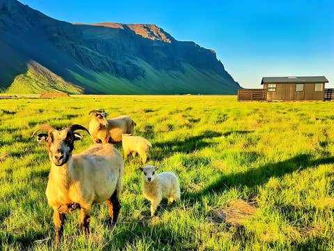 Green Farm Stay