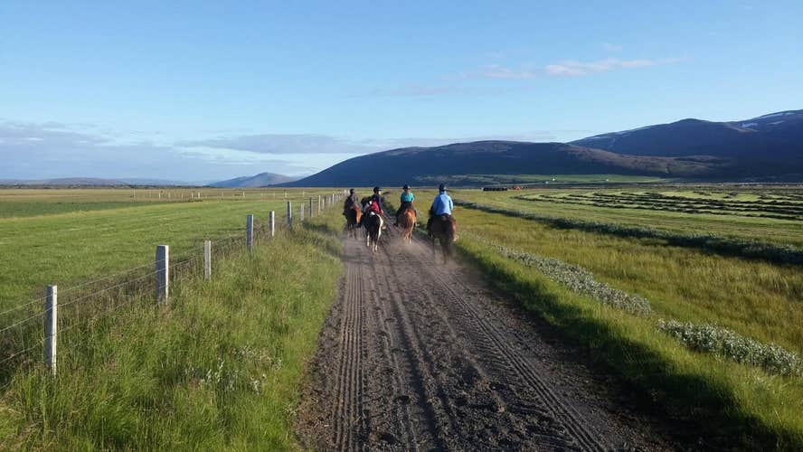 Small-Group Husavik Horse Riding Tour of Iceland’s Diverse Landscapes